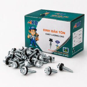 Đinh Bắn Tôn AKB